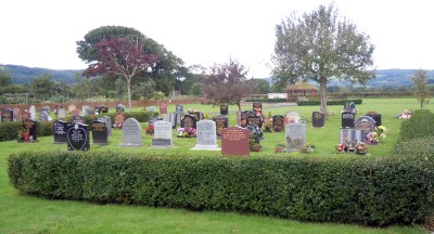 cemetery with a hedge and coloured gravestones